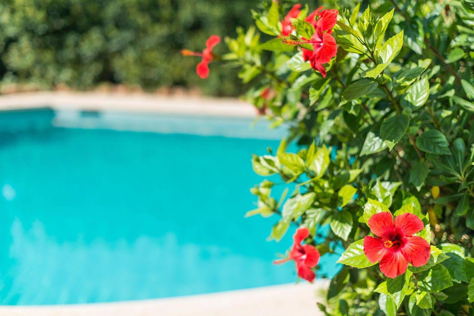 Hostal Casa Bauza Cala Ratjada  Exteriér fotografie